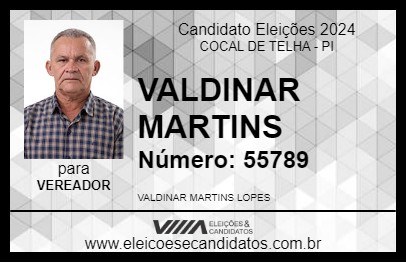 Candidato VALDINAR MARTINS 2024 - COCAL DE TELHA - Eleições