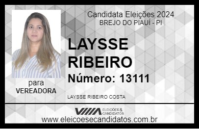 Candidato LAYSSE RIBEIRO 2024 - BREJO DO PIAUÍ - Eleições