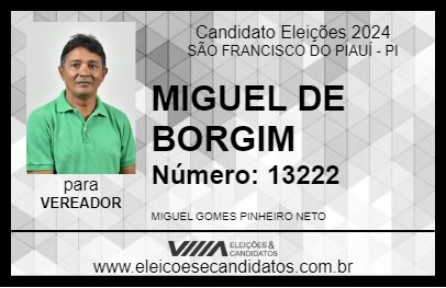 Candidato MIGUEL DE BORGIM 2024 - SÃO FRANCISCO DO PIAUÍ - Eleições