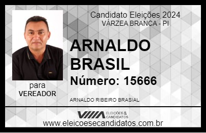 Candidato ARNALDO BRASIL 2024 - VÁRZEA BRANCA - Eleições