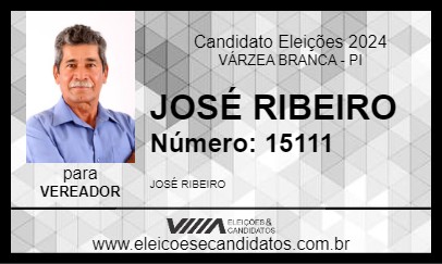 Candidato JOSÉ RIBEIRO 2024 - VÁRZEA BRANCA - Eleições