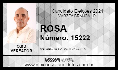 Candidato ROSA 2024 - VÁRZEA BRANCA - Eleições