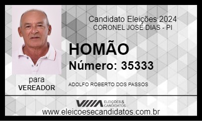 Candidato HOMÃO 2024 - CORONEL JOSÉ DIAS - Eleições