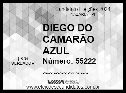 Candidato DIEGO DO CAMARÃO AZUL 2024 - NAZÁRIA - Eleições