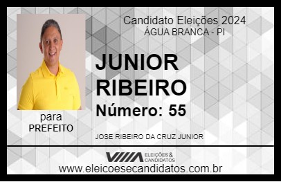 Candidato JUNIOR RIBEIRO 2024 - ÁGUA BRANCA - Eleições