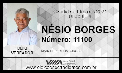 Candidato NÉSIO BORGES 2024 - URUÇUÍ - Eleições