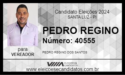 Candidato PEDRO REGINO 2024 - SANTA LUZ - Eleições