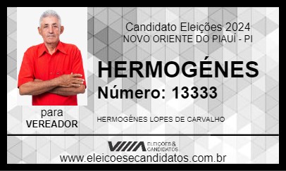 Candidato HERMOGÉNES 2024 - NOVO ORIENTE DO PIAUÍ - Eleições