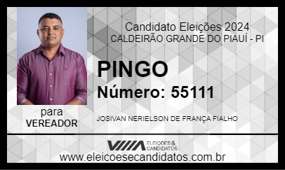 Candidato PINGO 2024 - CALDEIRÃO GRANDE DO PIAUÍ - Eleições