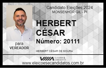 Candidato HERBERT CÉSAR 2024 - MONSENHOR GIL - Eleições