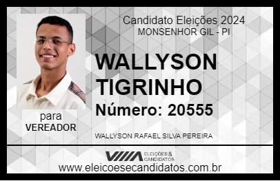 Candidato WALLYSON TIGRINHO 2024 - MONSENHOR GIL - Eleições