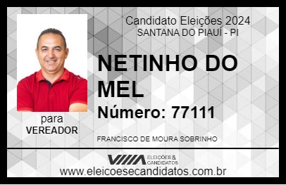 Candidato NETINHO DO MEL 2024 - SANTANA DO PIAUÍ - Eleições