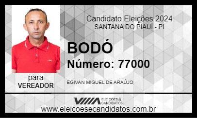 Candidato BODÓ 2024 - SANTANA DO PIAUÍ - Eleições