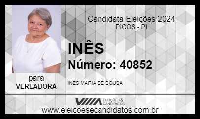 Candidato INÊS 2024 - PICOS - Eleições