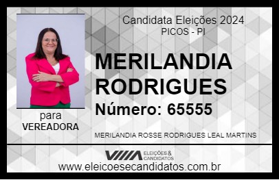 Candidato MERILANDIA RODRIGUES 2024 - PICOS - Eleições