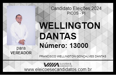 Candidato WELLINGTON DANTAS 2024 - PICOS - Eleições