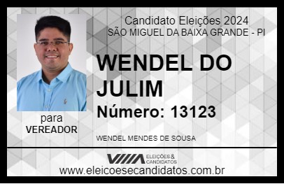 Candidato WENDEL DO JULIM 2024 - SÃO MIGUEL DA BAIXA GRANDE - Eleições