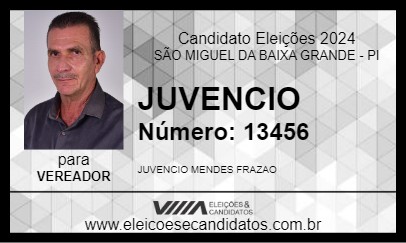 Candidato JUVENCIO 2024 - SÃO MIGUEL DA BAIXA GRANDE - Eleições