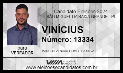 Candidato VINÍCIUS 2024 - SÃO MIGUEL DA BAIXA GRANDE - Eleições