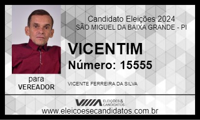 Candidato VICENTIM 2024 - SÃO MIGUEL DA BAIXA GRANDE - Eleições