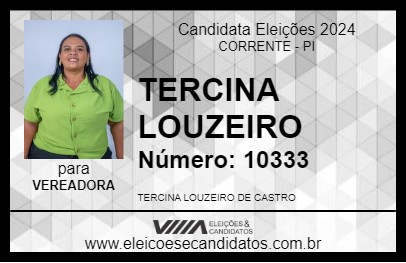 Candidato TERCINA LOUZEIRO 2024 - CORRENTE - Eleições