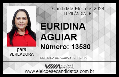 Candidato EURIDINA AGUIAR 2024 - LUZILÂNDIA - Eleições