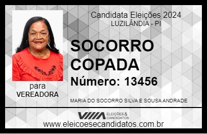 Candidato SOCORRO COPADA 2024 - LUZILÂNDIA - Eleições