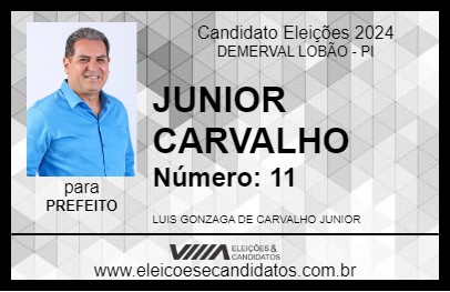 Candidato JUNIOR CARVALHO 2024 - DEMERVAL LOBÃO - Eleições