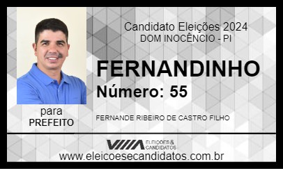 Candidato FERNANDINHO 2024 - DOM INOCÊNCIO - Eleições