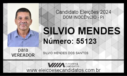 Candidato SILVIO MENDES 2024 - DOM INOCÊNCIO - Eleições