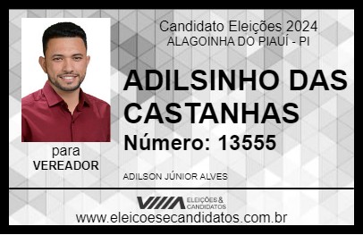 Candidato ADILSINHO DAS CASTANHAS 2024 - ALAGOINHA DO PIAUÍ - Eleições