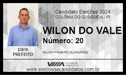 Candidato WILON DO VALE 2024 - COLÔNIA DO GURGUÉIA - Eleições