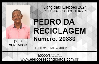 Candidato PEDRO DA RECICLAGEM 2024 - COLÔNIA DO GURGUÉIA - Eleições