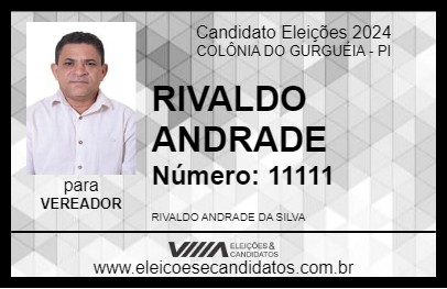 Candidato RIVALDO ANDRADE 2024 - COLÔNIA DO GURGUÉIA - Eleições