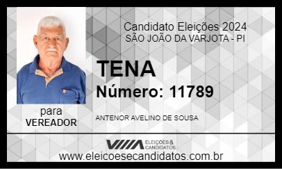 Candidato TENA 2024 - SÃO JOÃO DA VARJOTA - Eleições