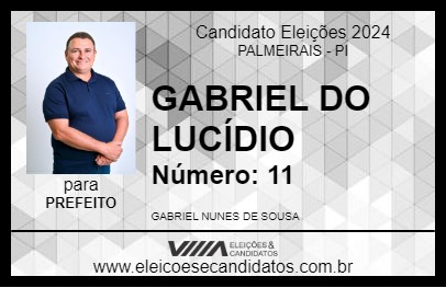 Candidato GABRIEL DO LUCÍDIO 2024 - PALMEIRAIS - Eleições