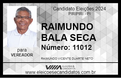 Candidato RAIMUNDO BALA SECA 2024 - PIRIPIRI - Eleições