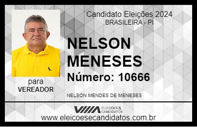 Candidato NELSON MENESES 2024 - BRASILEIRA - Eleições