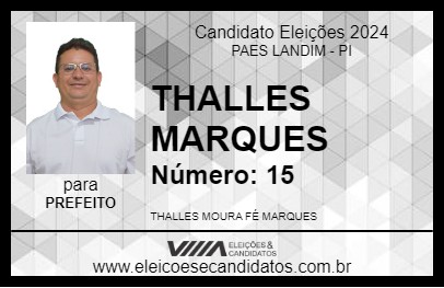 Candidato THALLES MARQUES 2024 - PAES LANDIM - Eleições