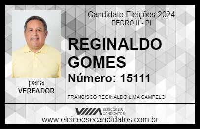 Candidato REGINALDO GOMES 2024 - PEDRO II - Eleições