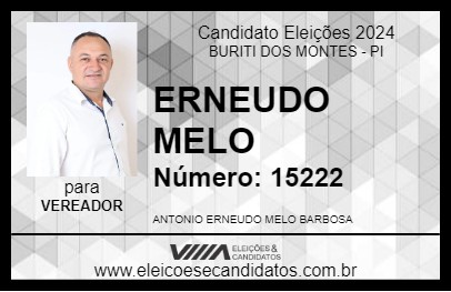 Candidato ERNEUDO MELO 2024 - BURITI DOS MONTES - Eleições