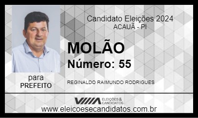 Candidato MOLÃO 2024 - ACAUÃ - Eleições