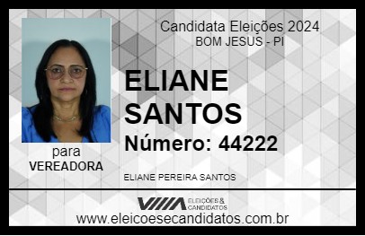 Candidato ELIANE SANTOS 2024 - BOM JESUS - Eleições