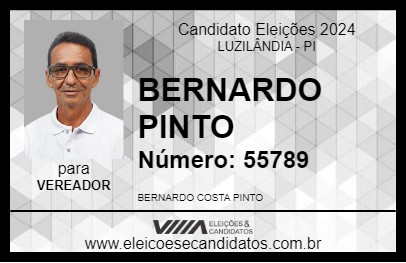 Candidato BERNARDO PINTO 2024 - LUZILÂNDIA - Eleições