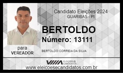 Candidato BERTOLDO 2024 - GUARIBAS - Eleições