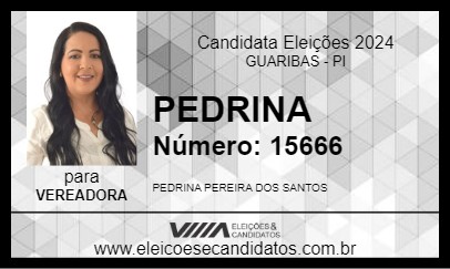 Candidato PEDRINA 2024 - GUARIBAS - Eleições