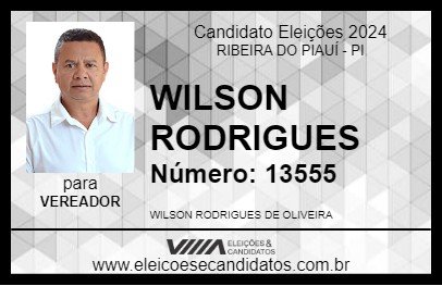 Candidato WILSON RODRIGUES 2024 - RIBEIRA DO PIAUÍ - Eleições