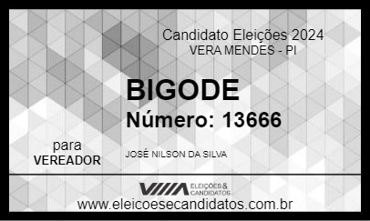 Candidato BIGODE 2024 - VERA MENDES - Eleições