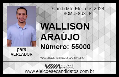 Candidato WALLISON ARAÚJO 2024 - BOM JESUS - Eleições