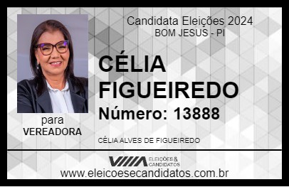 Candidato CÉLIA FIGUEIREDO 2024 - BOM JESUS - Eleições